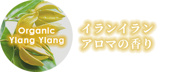 イランイランアロマの香り