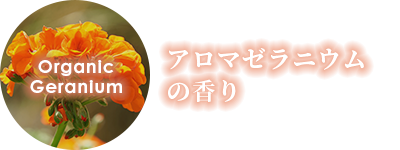アロマゼラニウムの香り