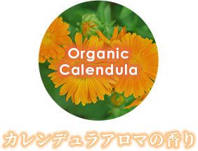 カレンデュラアロマの香り