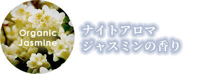 ナイトアロマジャスミンの香り