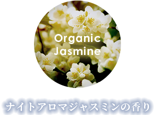 ナイトアロマジャスミンの香り