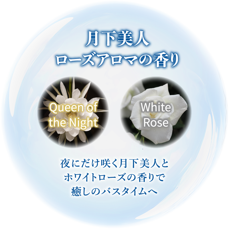 石油系界面活性剤 0%